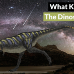 What Killed The Dinosaurs?