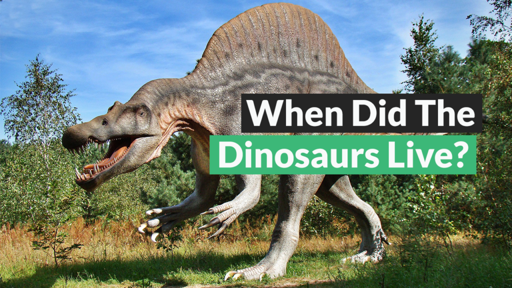 When Did The Dinosaurs Live?