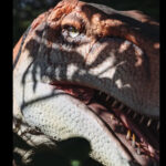 Scary Dniosaurs