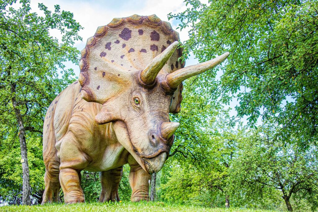 Triceratops Size and Weight