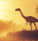 A digital painting of Gallimimus in profile